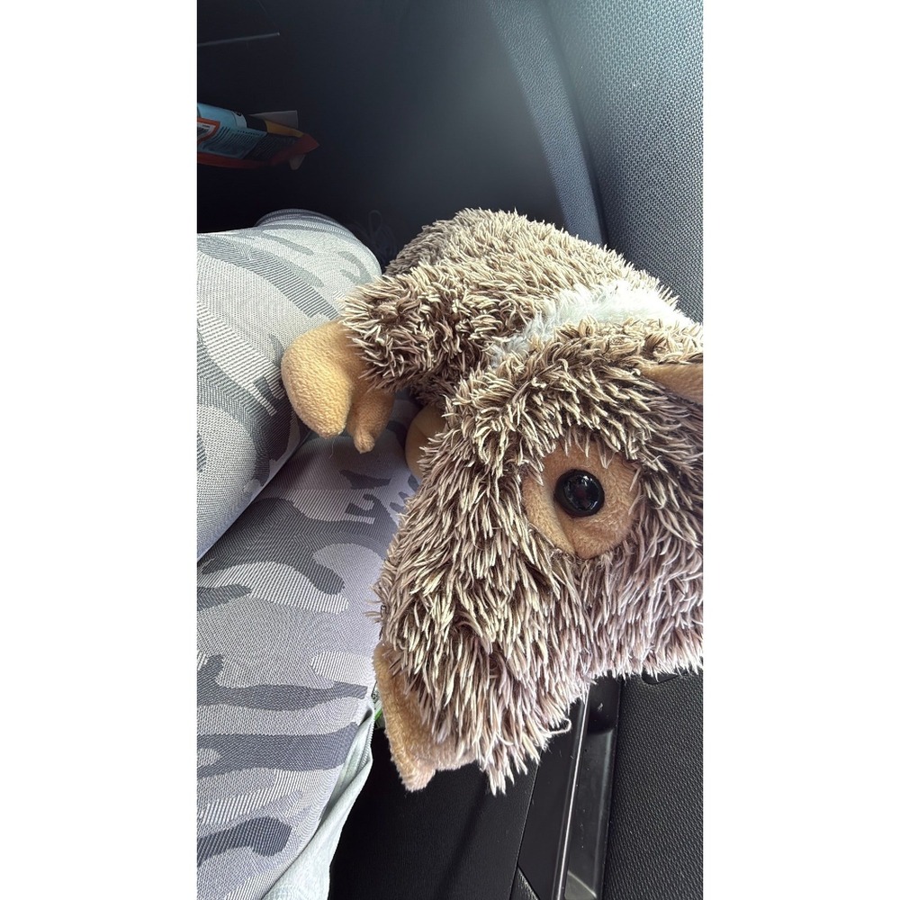 Plushie